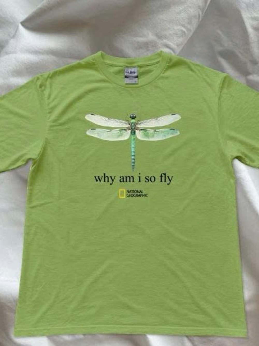 “why am i so fly" Dragonfly Gildan Graphic Lime Tshirt
